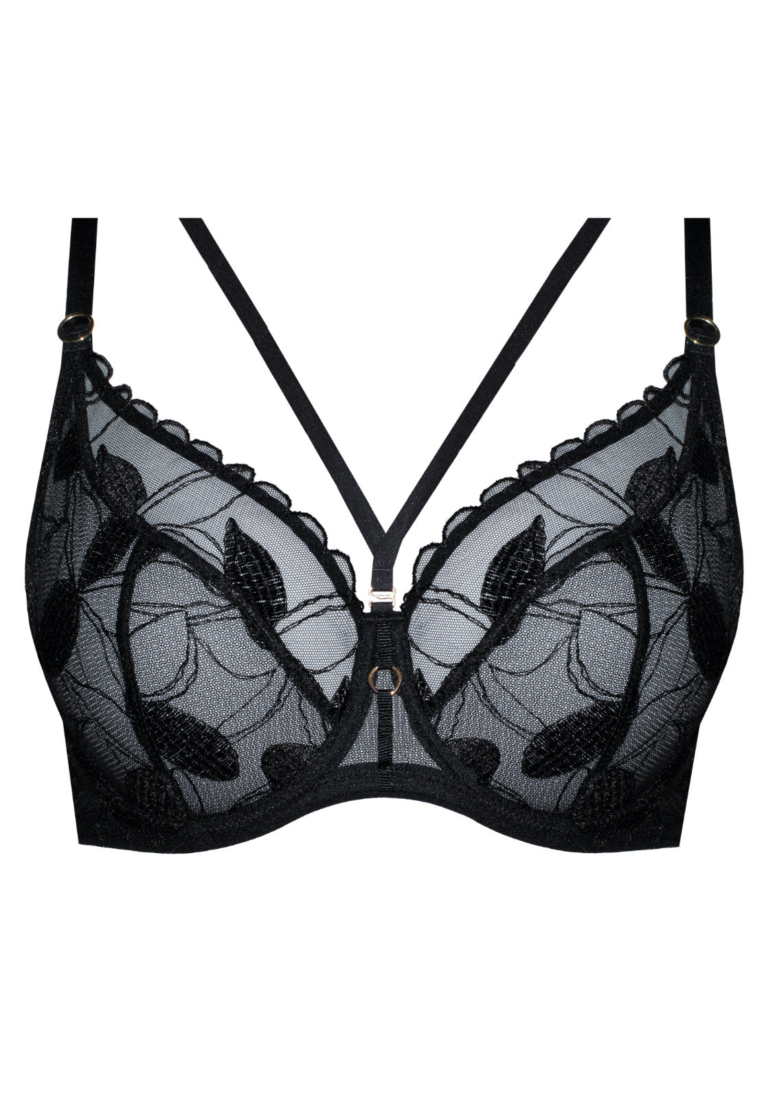 Kendall - Triangle BH