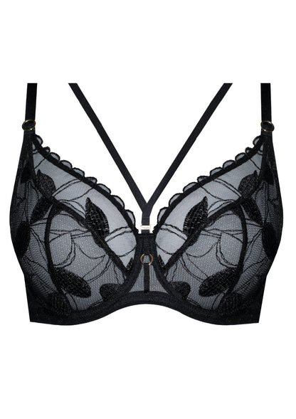 Kendall - Triangle BH